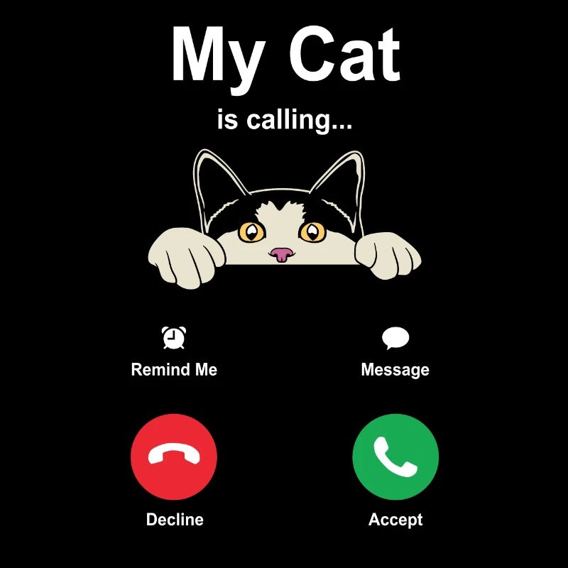 Katze