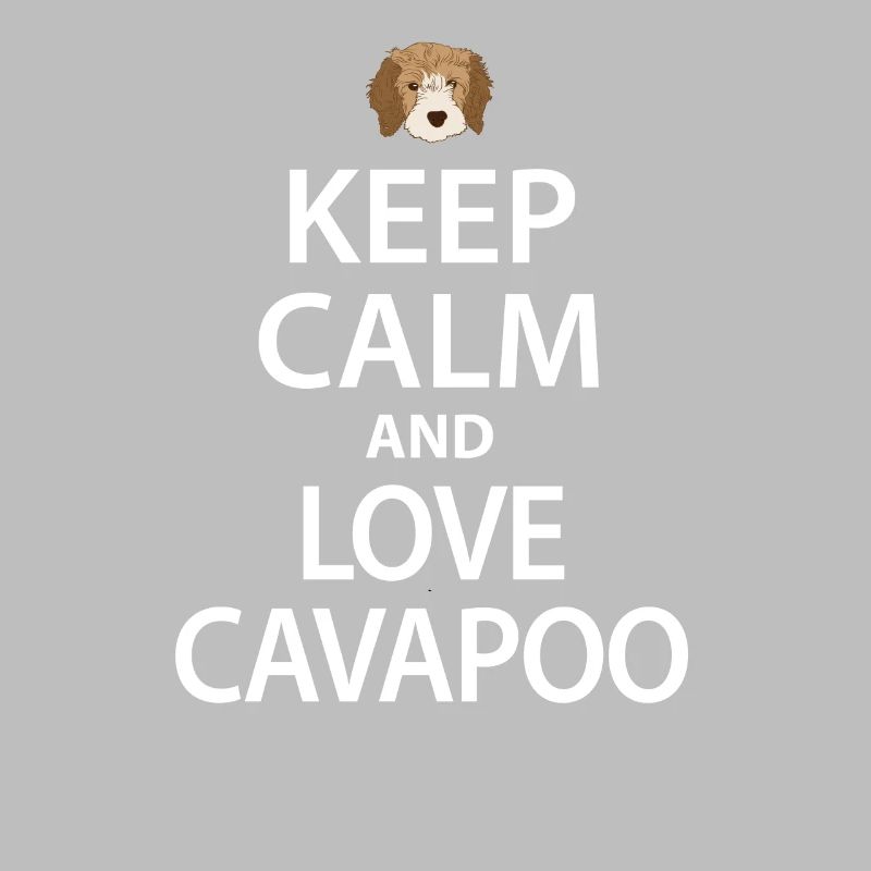 Cavapoo Hund