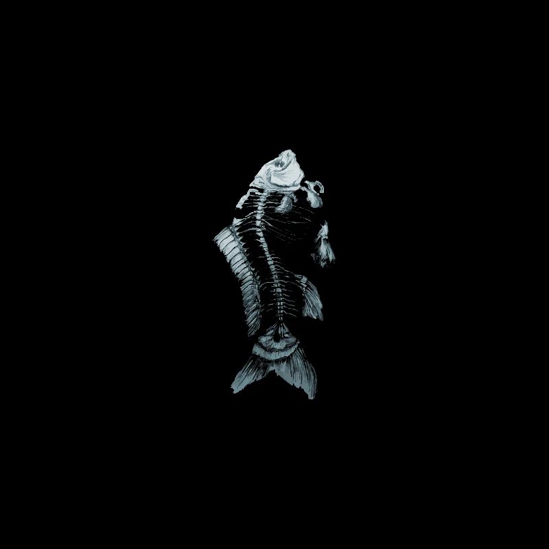Blue Fish