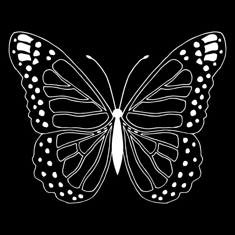 Papillon Papillon Papillon