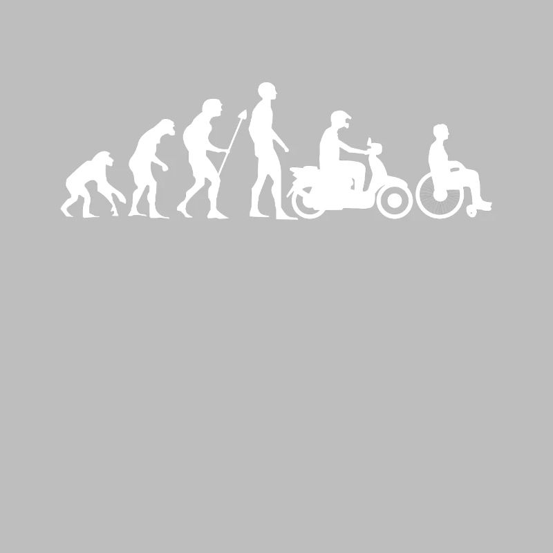 Evolution Moped Roller Mofa Rollstuhl Geschenk