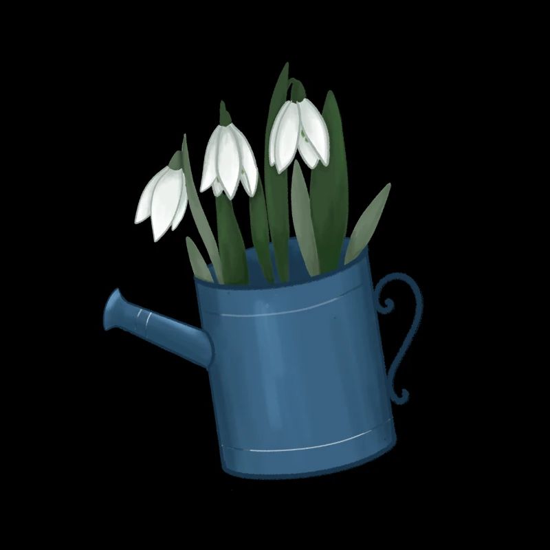Snowdrop, spring, watering can, garden