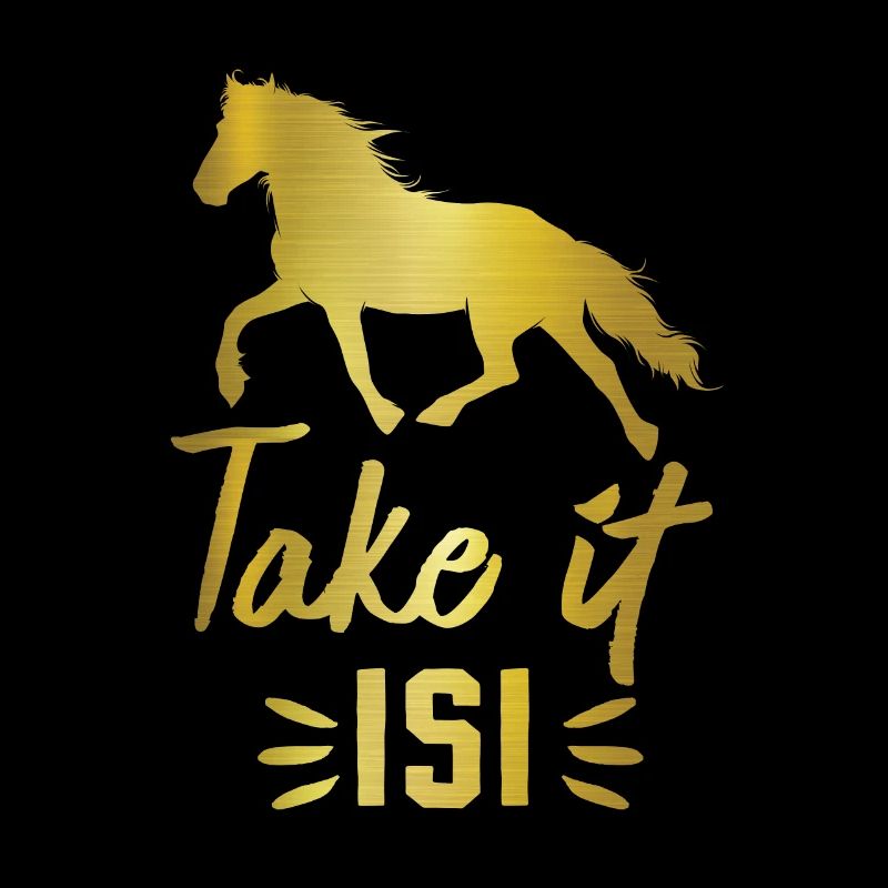 Cheval islandais Take it Isi