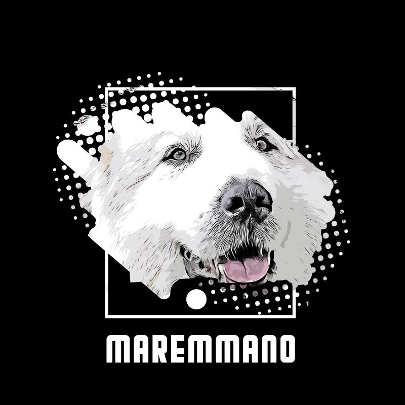 Maremmano Abruzzese - Herd protection dog