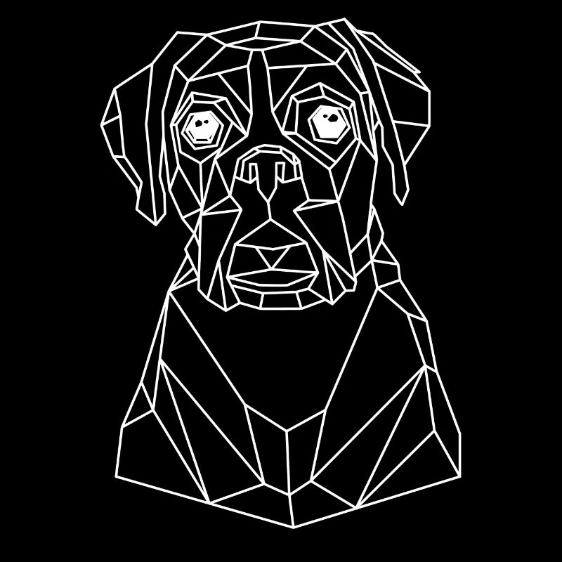 Cool dog