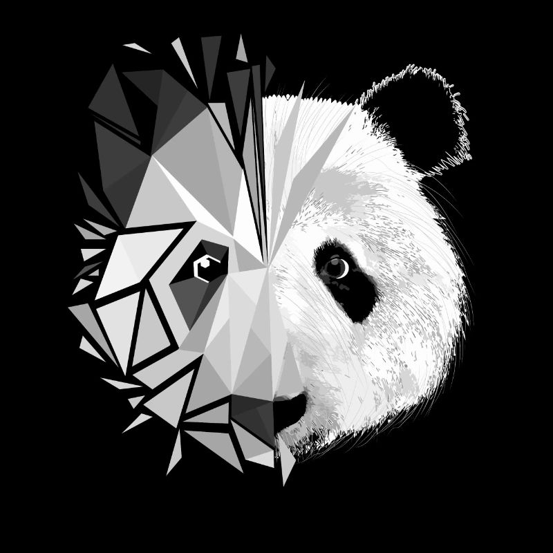 Panda animals