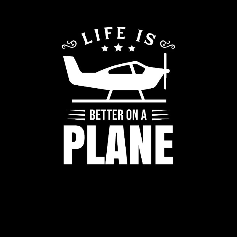 Airplane pilot flying aviator flight captain
