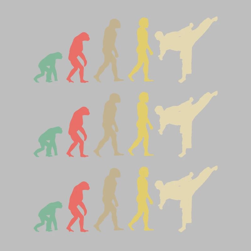 Karate Evolution - Taekwondo