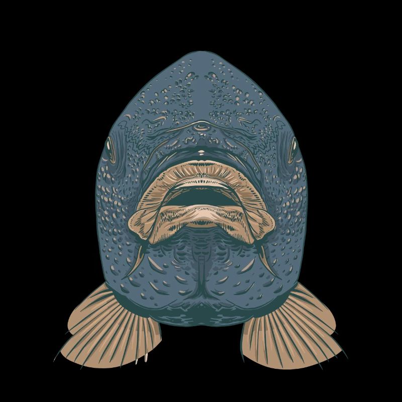 Carp Fish Mouth Head Face