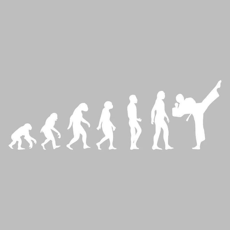 t-shirt evolution karate