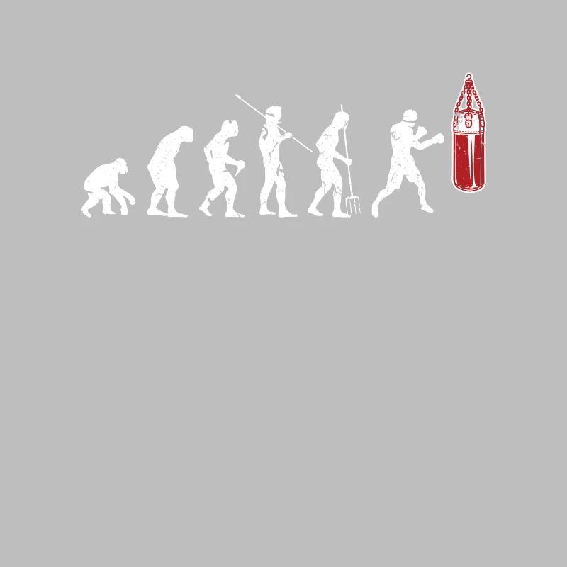 Boxen Evolution