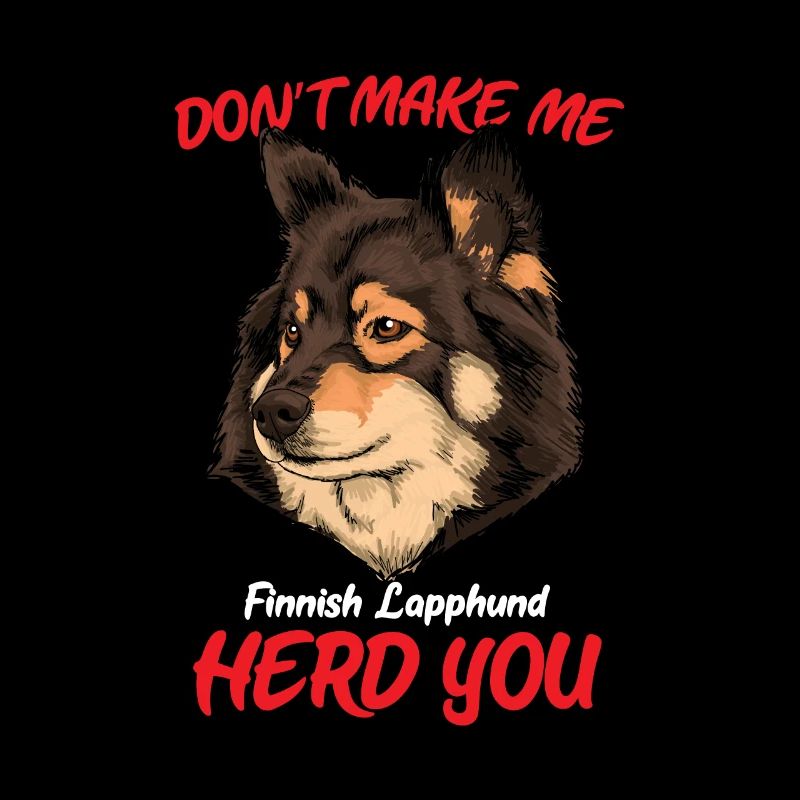 Finnish Lapphund