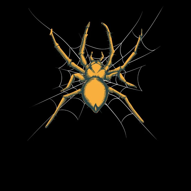 Spinne Giftige Spinne