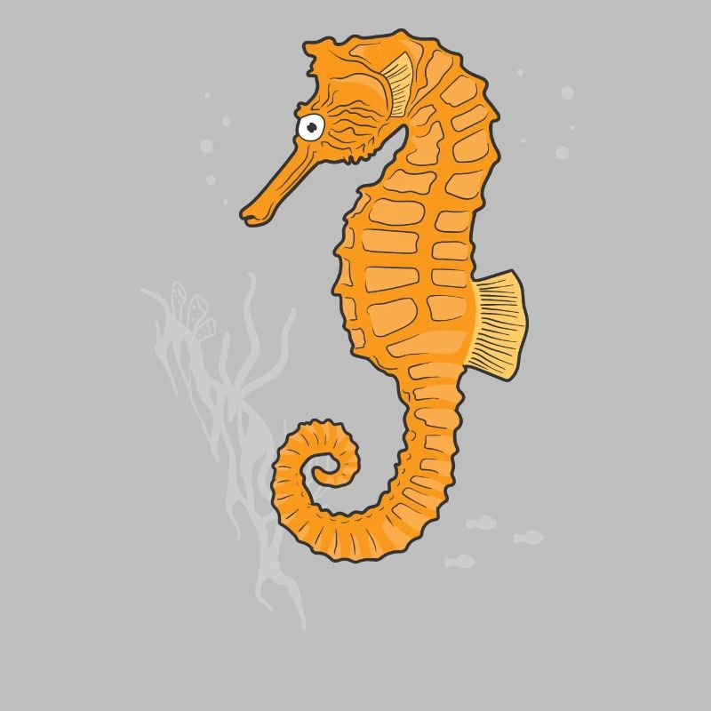 Seepferdchen Seepferd Geschenk