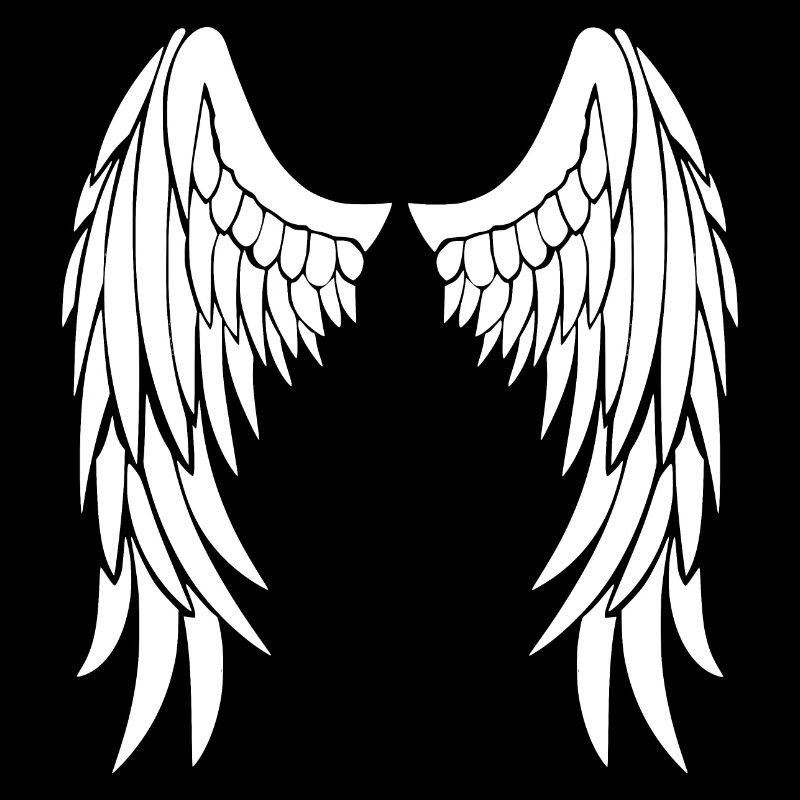 ailes d'anges