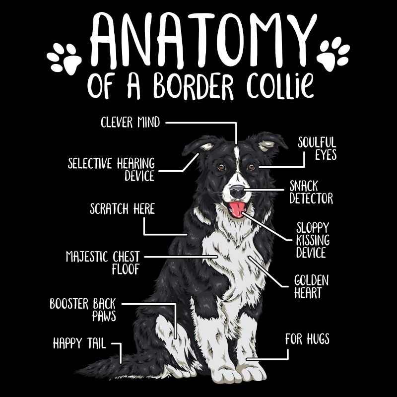 Cadeau de propriétaire de chien Border Collie anatomie