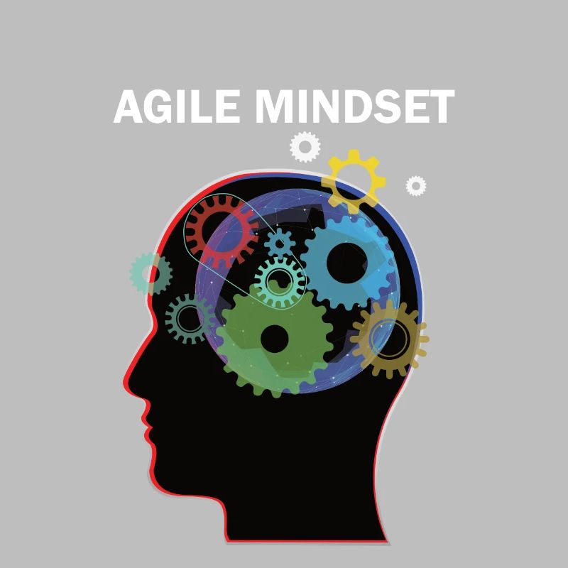 Agile Mindset Scrum Master programmer