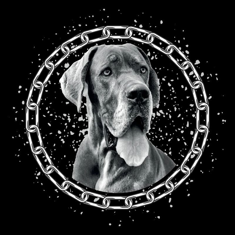 Deutsche Dogge oder Dänische Dogge als Portrait