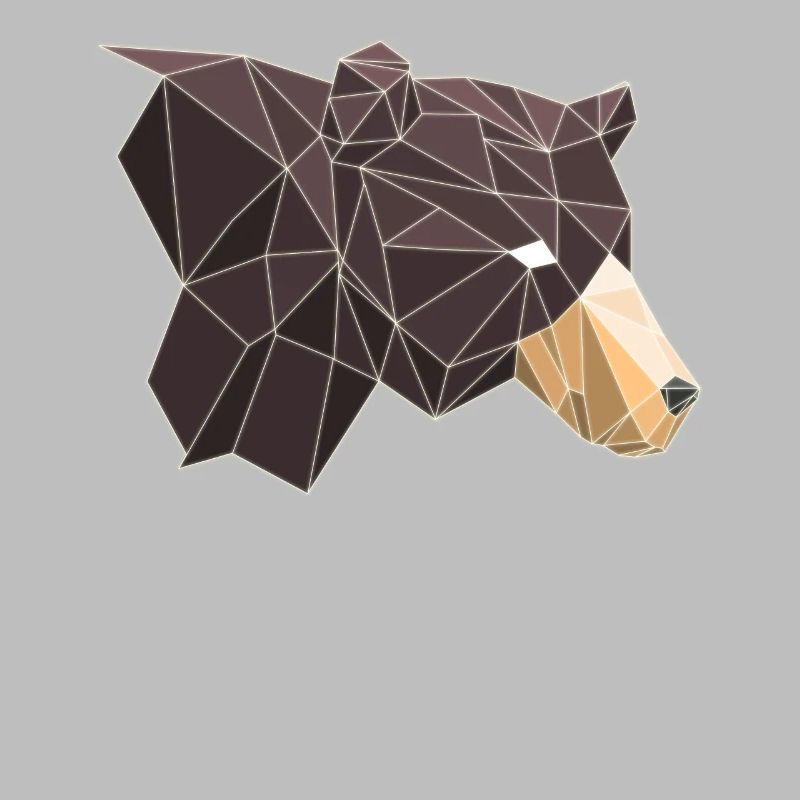 Bear Bear Polygon Brown Bear Grizzly Camping