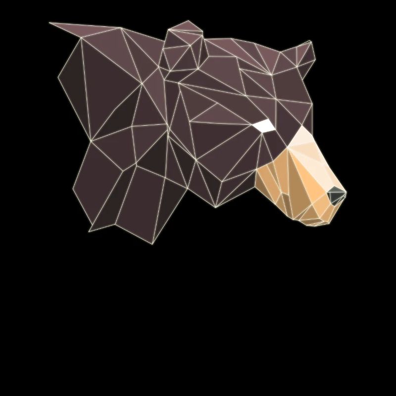 Ours ours Ours Polygone Ours brun Grizzly Camping