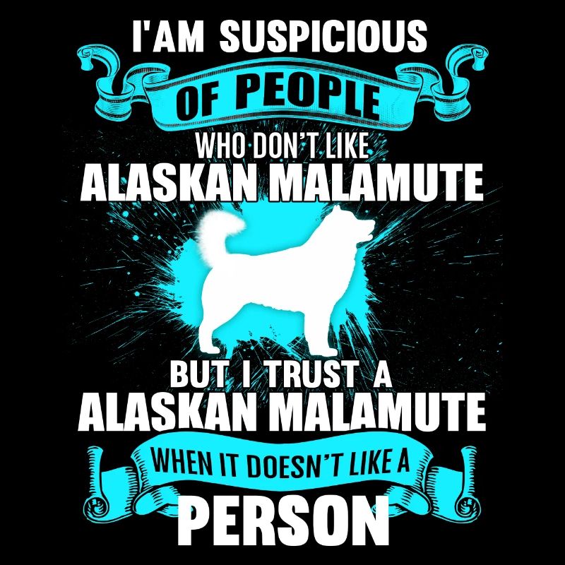 Alaskan Malamute
