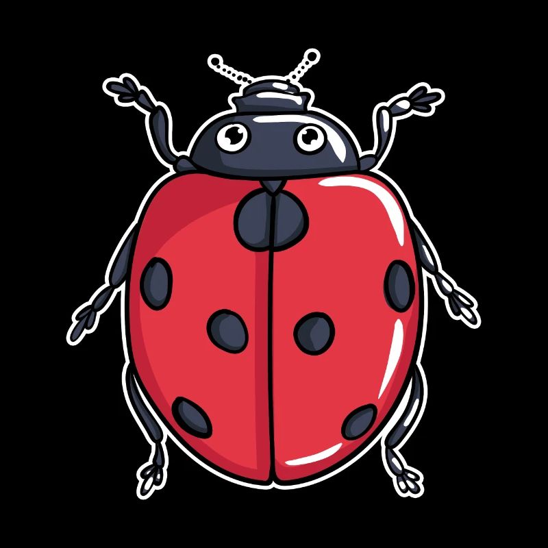 Coccinelle