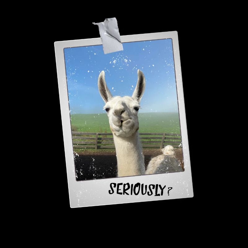 Funny Llama Alpaca Photo "Seriously?" Saying
