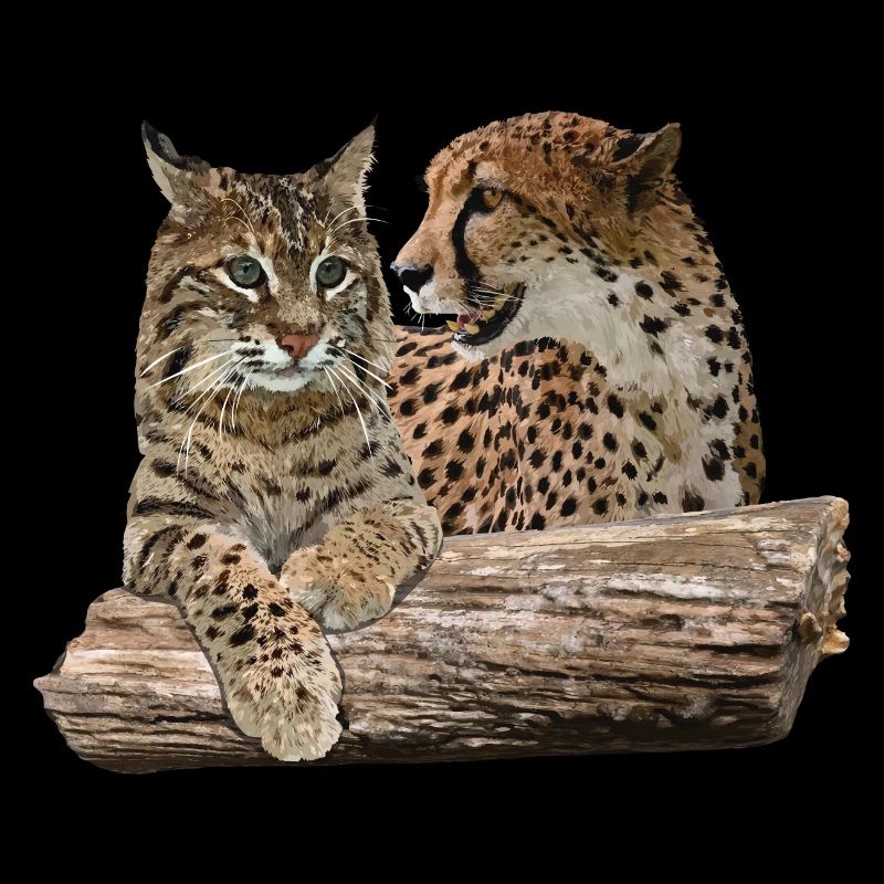 Luchs und Gepard