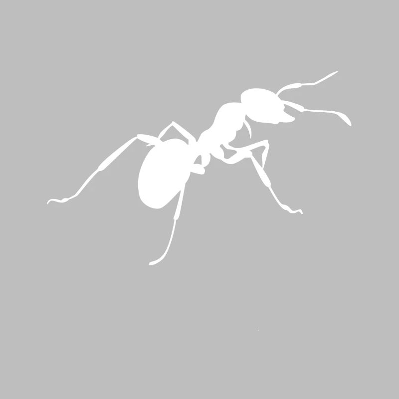 Fourmis