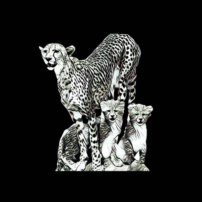 Guépard