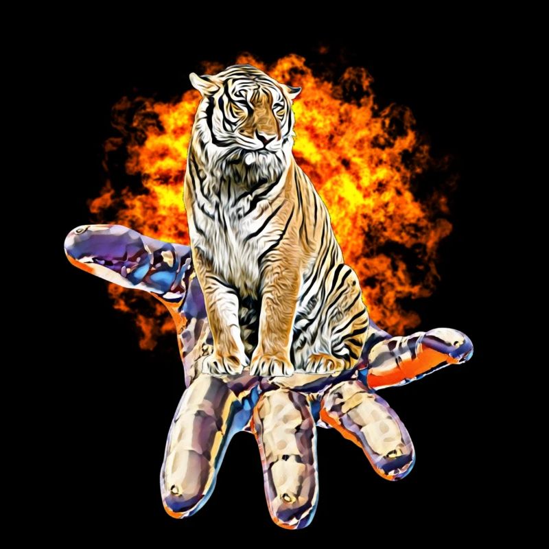 tiger