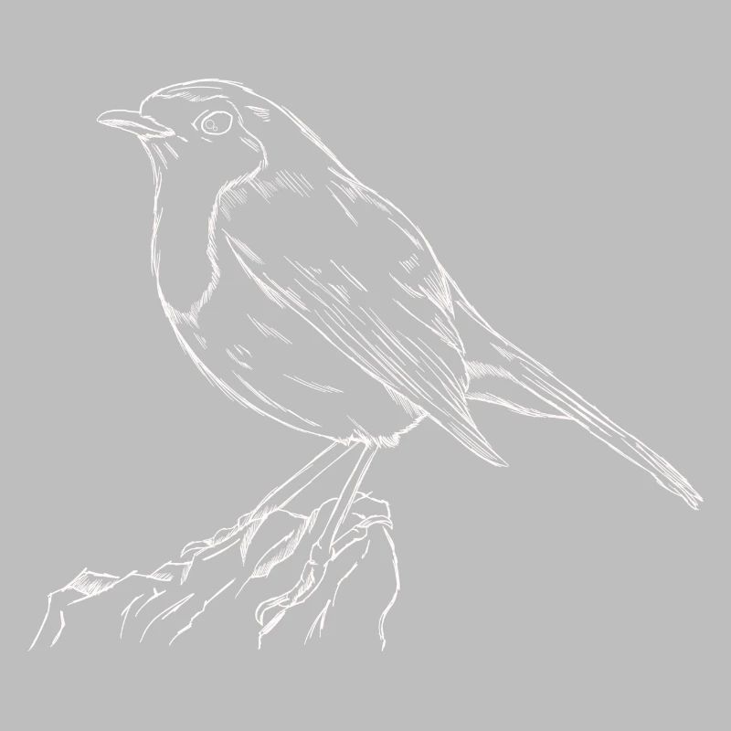 Das Rotkehlchen Singvogel Naturschutz