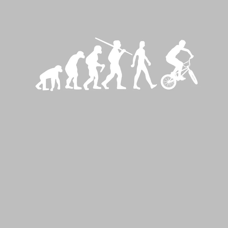 BMX Evolution BMX Bike
