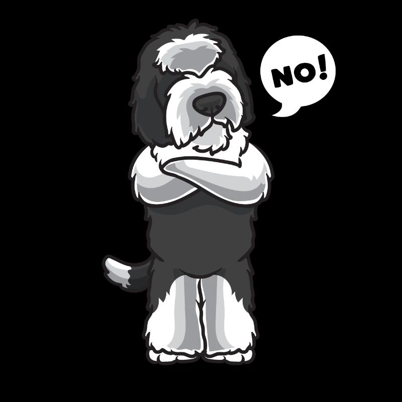 Sturer Sheepadoodle Hund