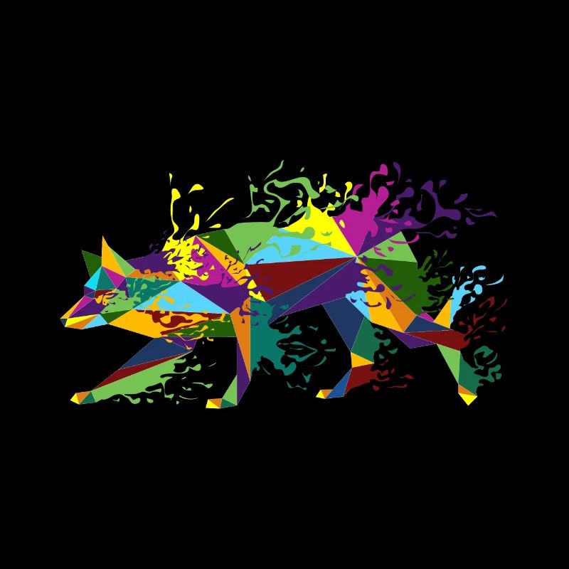 Border collie éclaboussant