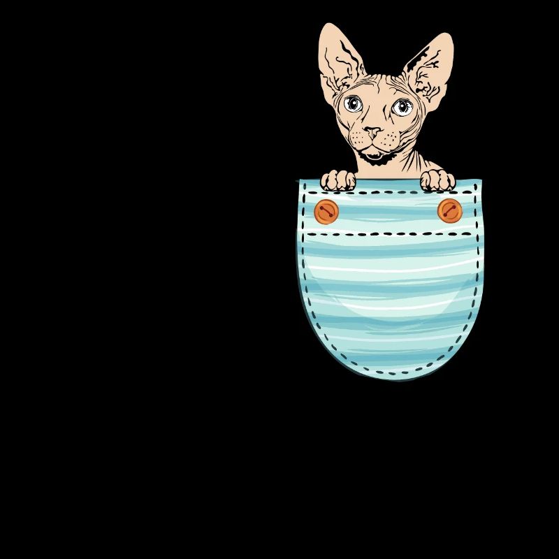 Mignon Sphynx Chat Sphynx Propriétaire de chat