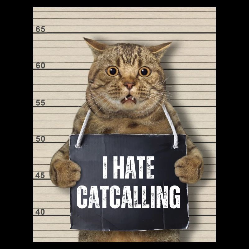 I Hate Catcalling
