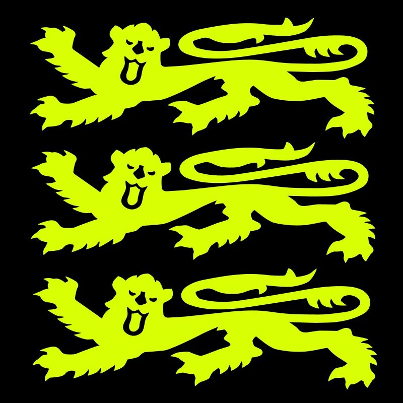 3 Lions