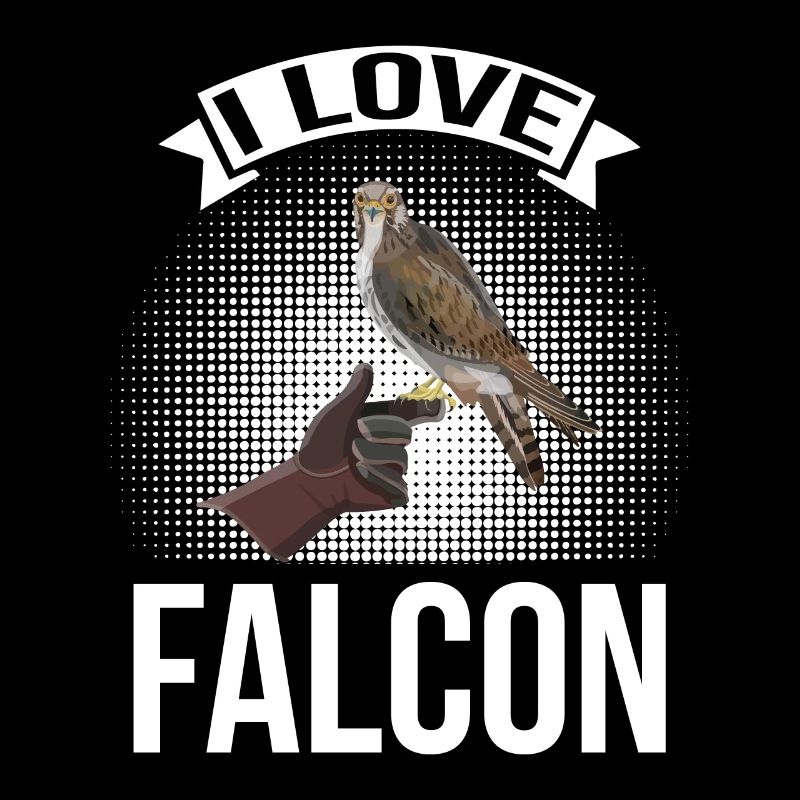J’adore Falcon eagle falconry bird