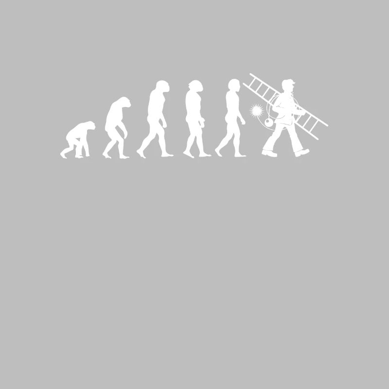 Chimney Sweep Evolution Chimney Fireplace