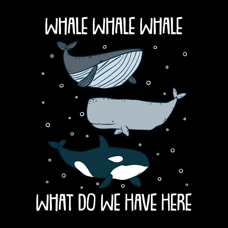 Baleines Cachalots baleines tueuses baleines bleues