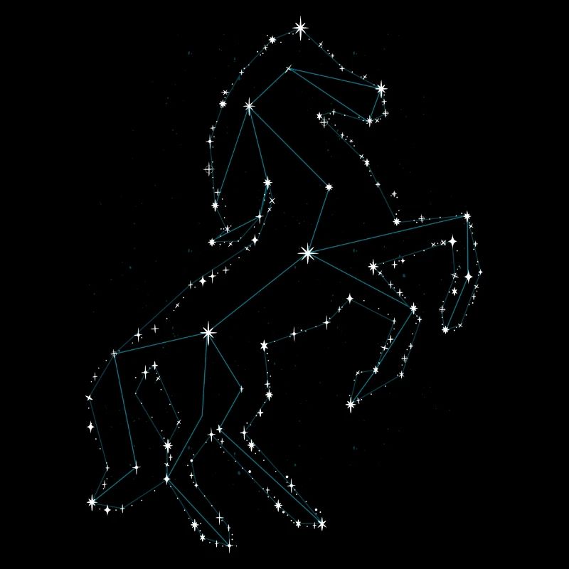 Pferd