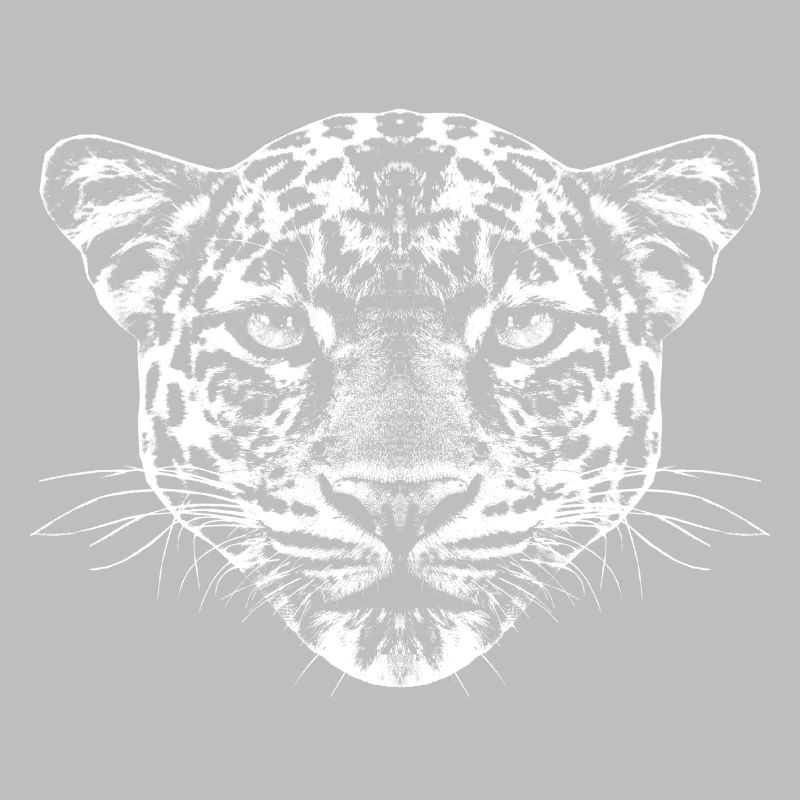 Junger Leopard