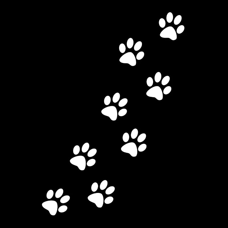Pattes de chien et de chat