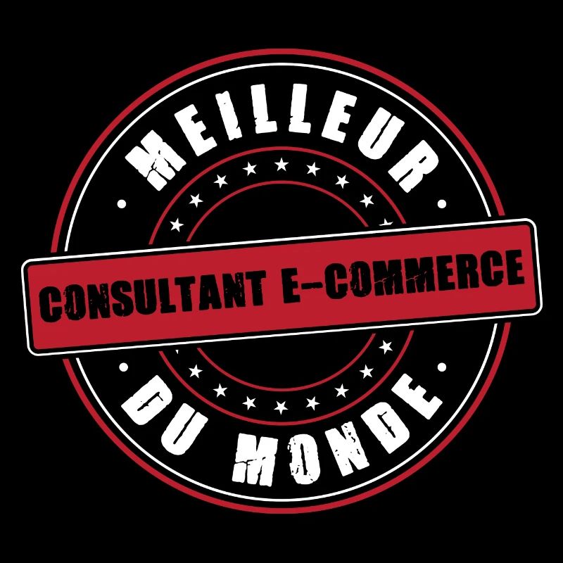Meilleur consultant e commerce profession métier