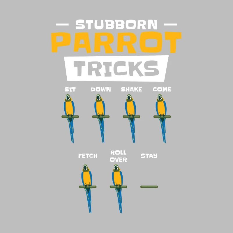 Ara Birdnerd Pet Tricks Perroquet persistant