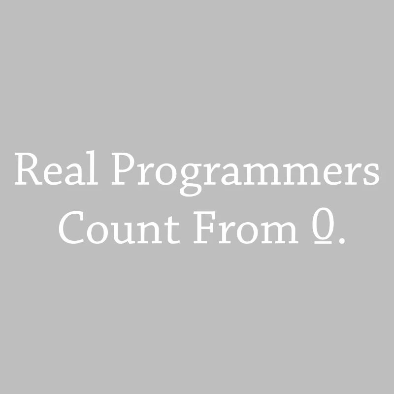 Programmer Coder Software Developer