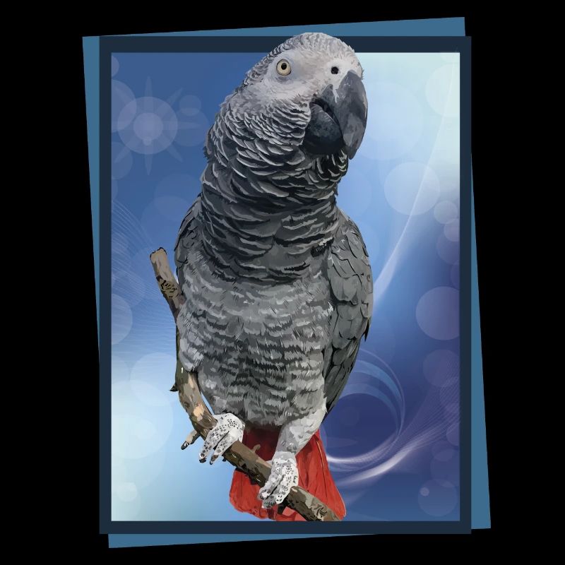 Le perroquet gris