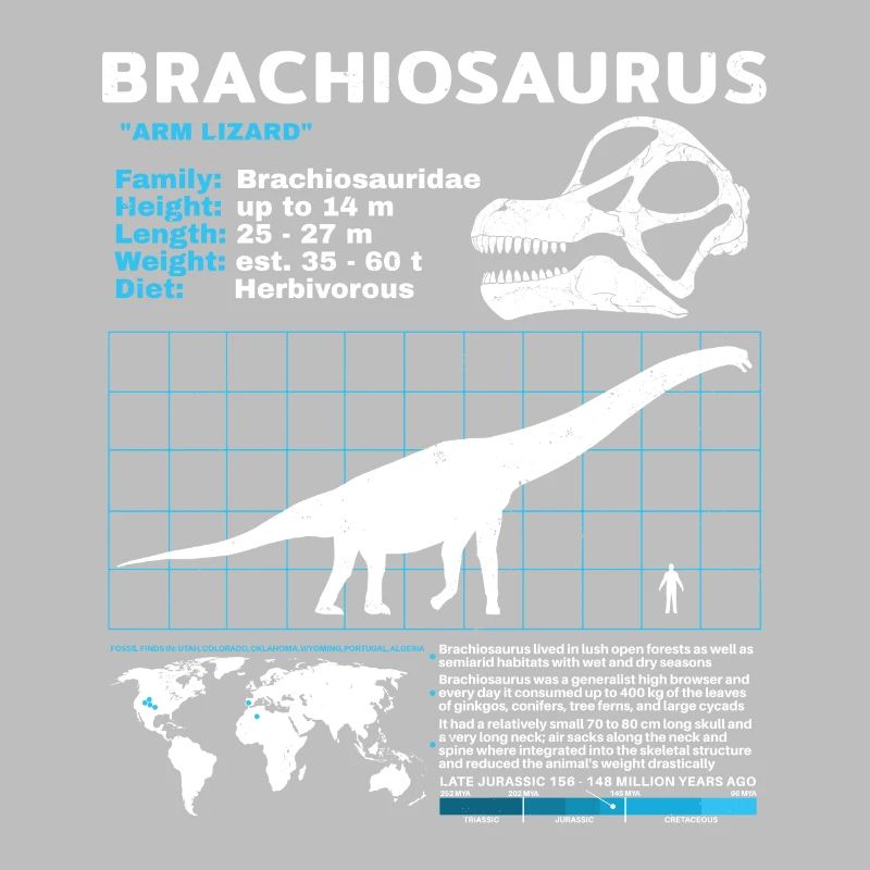 Fiche technique de Brachiosaurus