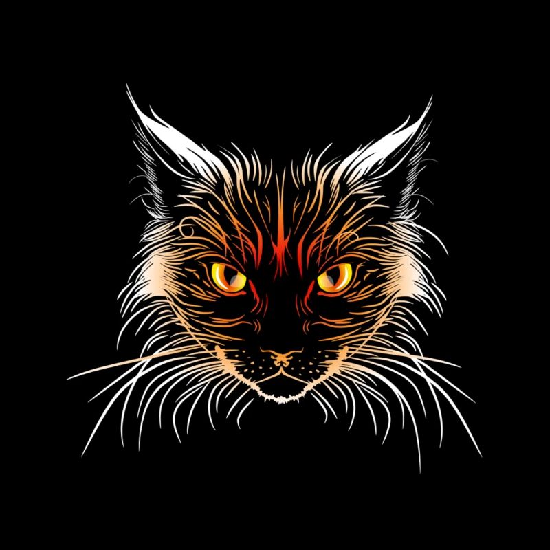 Tête de chat orange